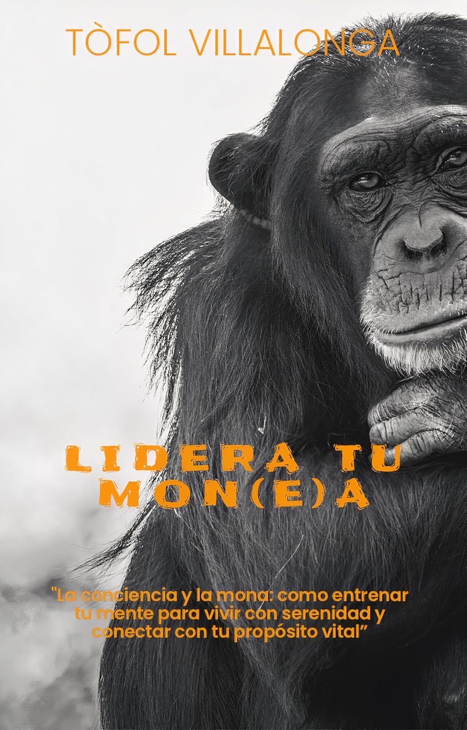 Portada libro LIDERA TU MONE(A)